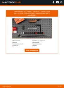 Vervangen: Multiriem 1.3 CDTI 16V VAUXHALL COMBO TOUR Mk II (C) (F25)