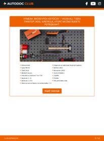 Ako vykonať výmenu: Brzdový kotouč na Tigra Mk2 TwinTop (X04) 1.8