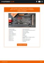 Manuale officina Meriva Mk I (A) (X03) 1.7 CDTi PDF online