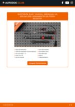PDF manual sobre mantenimiento Insignia Mk I (A) Berlina (G09) 1.6