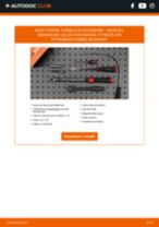 Manuali officina INSIGNIA Mk I (A) Station wagon 2.0 Biturbo CDTI 4x4 (35) gratis