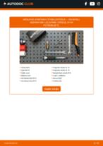 DIY-priročnik za zamenjavo Zarnica luci za registrsko tablico v VAUXHALL SIGNUM 2008