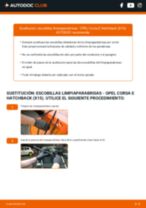 La guía profesional para realizar la sustitución de Bujía de Encendido en tu Opel Corsa E x15 1.4 LPG (08, 68)