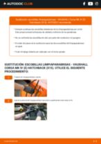 Cambio Escobillas delanteras y traseras VAUXHALL bricolaje - manual pdf en línea