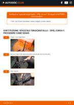 Come faccio ad effettuare la sostituzione di Spazzole tergicristallo su Corsa B Caravan (S93) 1.7 D (F35)? Guide passo dopo passo
