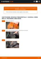 Come faccio ad effettuare la sostituzione di Spazzole tergicristallo su Corsavan Mk2 (C) (X01) 1.2 16V Dualfuel (F08)? Guide passo dopo passo