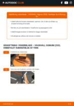 Detaljeret VAUXHALL SIGNUM 20080 guide i PDF format