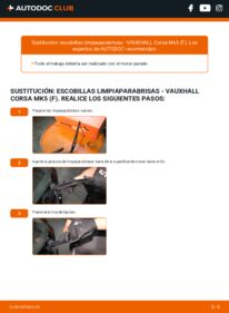 Cómo sustitución de Escobillas de Limpiaparabrisas CORSA-e VAUXHALL Corsa Mk5 (F)