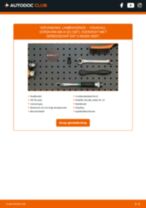 Doe het zelf reparatiehandleiding VAUXHALL Corsavan Mk3 (D) (S07) 2021
