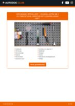 Online handleiding over het zelf vervangen van de Gloeilamp Kentekenplaatverlichting van de VAUXHALL ADAM