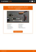 PDF manual sobre manutenção de Tigra Coupe (S93) 1.6 16V (F07)
