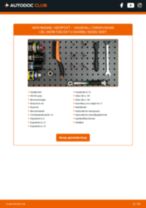 Corsavan Mk1 (B) 1.7 D onderhoudsboekje voor probleemoplossing