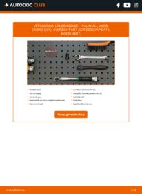 Vervanging uitvoeren: Lambdasonde 2.2 i VAUXHALL VX220