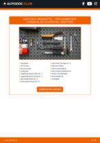 CITROËN C8 (EA_, EB_) Lenksäule + Elektrische Servolenkung: Schrittweises Handbuch im PDF-Format zum Wechsel