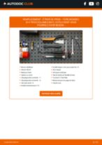 Changement Filtre à Carburant diesel FORD SIERRA Estate (BNG) : guide pdf