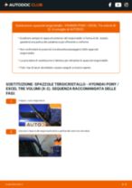 Manuale officina PONY / EXCEL Tre volumi (X-2) 1.5 i PDF online