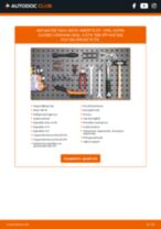 Εγχειρίδιο PDF στη συντήρηση Astra Classic Caravan (A04) 1.7 CDTi (L35)