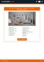 MERCEDES-BENZ VITO Bus (W639) ventiliuojami Stabdžių diskas pakeisti: žinynai pdf