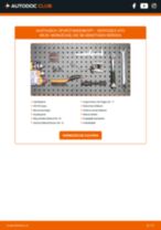 AUDI Q4 Nummernschildbeleuchtung LED und Halogen tauschen: Handbuch pdf