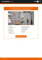 Citroen Xantia X2 Reifendruck Kontrollsystem: Schrittweises Handbuch im PDF-Format zum Wechsel