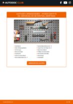 ASTON MARTIN DB11 Stoßdämpfer Gasdruck und Öldruck tauschen: Handbuch pdf