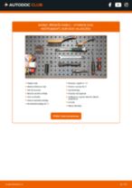 Tiešsaistes rokasgrāmata, kā mainīties Galvenais bremžu cilindrs uz HYUNDAI NEXO