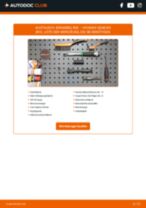 Werkstatthandbuch für GENESIS (BH) 3.3 24V online