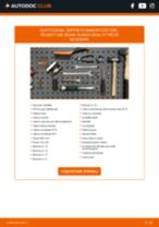 PDF manuale di sostituzione: Supporto ammortizzatore PEUGEOT 406 (8B) posteriore e anteriore