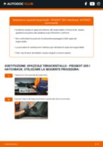 Sostituzione di Pastiglie dei freni su Peugeot 205 I 1.6 GTI: la guida professionale