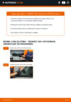 205 Cabrio 1.9 CTI Stikla tīrītāja slotiņa: kā nomainīt? Pakāpeniskas rokasgrāmatas