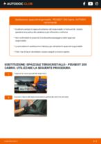 Come cambiare Spazzole tergicristallo anteriore e posteriore PEUGEOT 205 - manuale online