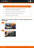205 II Hatchback 1.4 Stikla tīrītāja slotiņa: kā nomainīt? Pakāpeniskas rokasgrāmatas