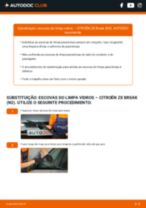 Tutorial passo a passo em PDF sobre a substituição de Escovas do Limpa Vidros no CITROËN ZX Break (N2)