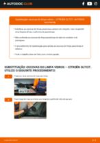 Manual DIY sobre como substituir o Escovas do Limpa Vidros no CITROËN AXEL