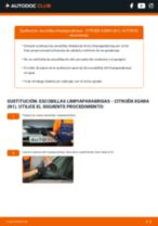 Cómo cambiar Escobilla delanteras y traseras CITROËN XSARA (N1) - manual en línea