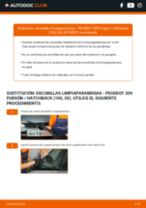 Cómo cambiar Escobilla delanteras y traseras PEUGEOT 309 Kasten / Schrägheck (10S, 3S) - manual en línea