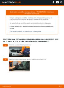 Cómo sustitución de Escobillas de Limpiaparabrisas 1.7 Diesel Peugeot 205 I
