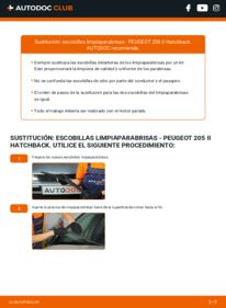 Cómo sustitución de Escobillas de Limpiaparabrisas 1.7 Diesel Peugeot 205 2