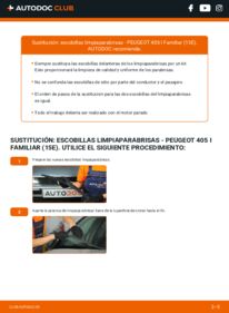 Cómo sustitución de Escobillas de Limpiaparabrisas 1.9 D Peugeot 405 15E