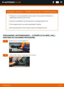 Vervanging uitvoeren: Ruitenwissers 1.4 HDi Citroën C3 Pluriel