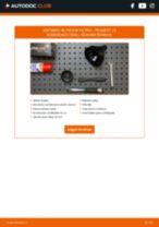 PEUGEOT J5 Box (290L) Alyvos filtras pakeisti: žinynai pdf