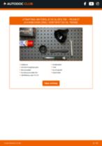 Bytte Oljefilter PEUGEOT J5 Box (290L): handleiding pdf