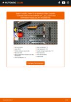 PDF manual sobre manutenção de Xantia Hatchback (X1_, X2_) 1.9 D