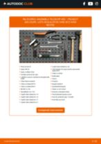 PDF manual pentru întreținere 406 cupe (8C) 1.8