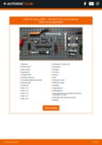DIY-manual för byte av Hjullager i PEUGEOT 205