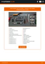 Käsiraamat PDF 205 I Kabriolett (741B, 20D) 1.9 CTI hoolduse kohta