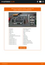 Priročnik PDF o vzdrževanju 205 I kabriolet (741B, 20D) 1.9 CTI