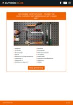 Vervang het Dynamo poelie van de PEUGEOT EXPERT Box met onze online pdf-handleiding