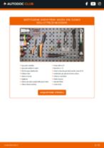 Abarth 595 312 Kit Cinghie Poly-V sostituzione: tutorial PDF passo-passo
