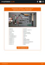 Zelf Gloeilamp Kentekenplaatverlichting vervangen ALFA ROMEO - online handleidingen pdf